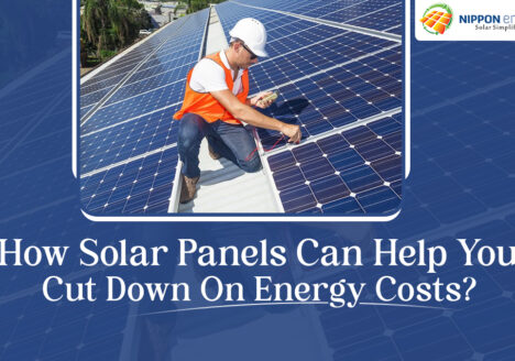 How Solar Panels Can Help You Cut Down On Energy Costs?